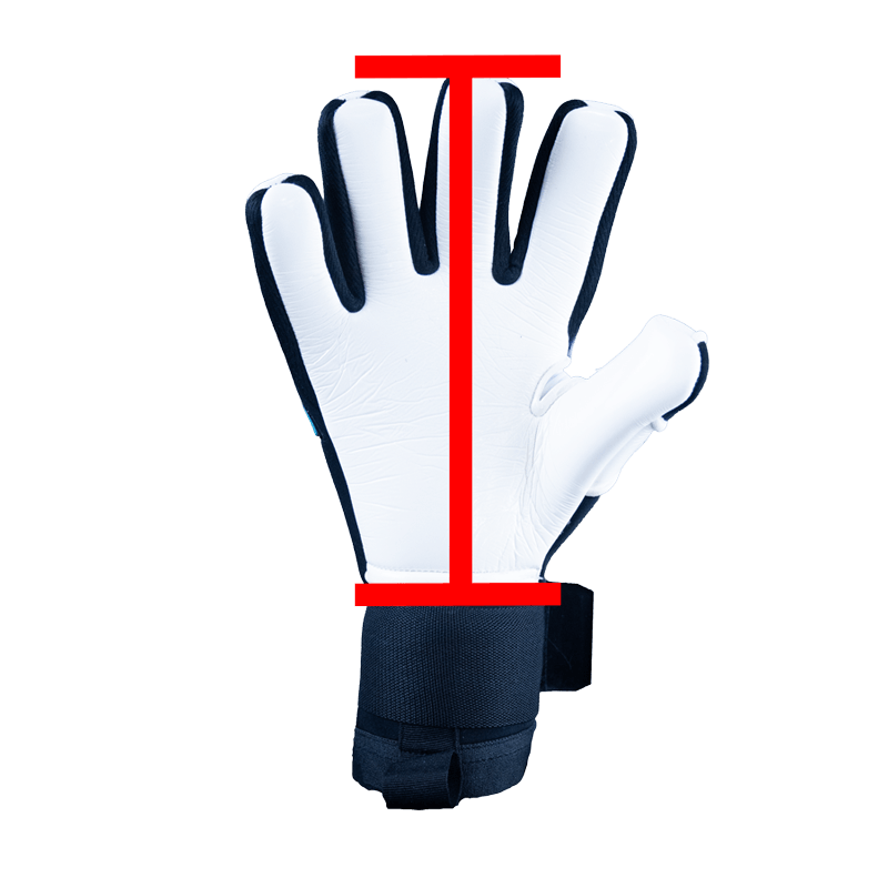 tallas Tallaje de los guantes